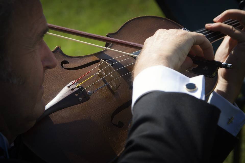 Two violinists