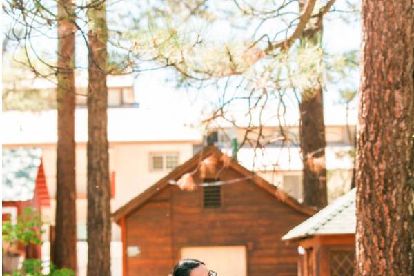 Wedding Portraits