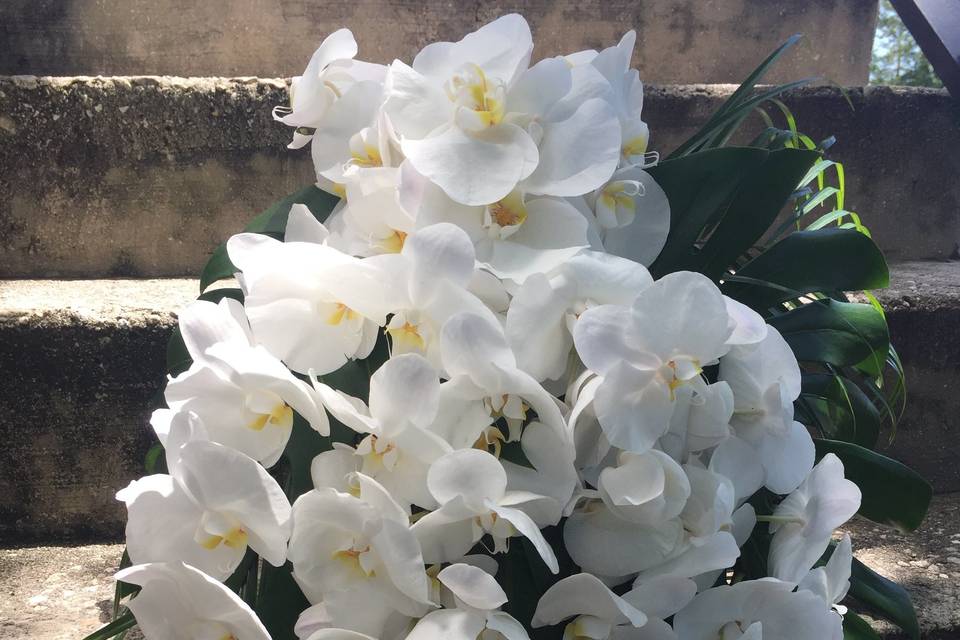 orchid bliss bouquet