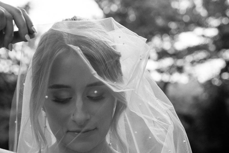 Bride under the veil