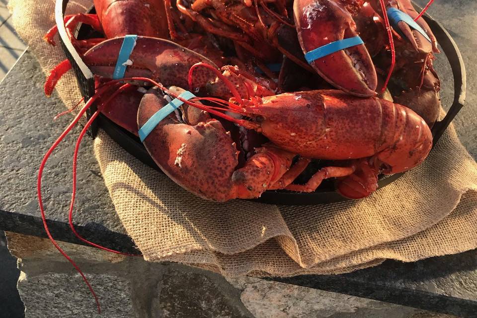 The Handsome Oyster Co.