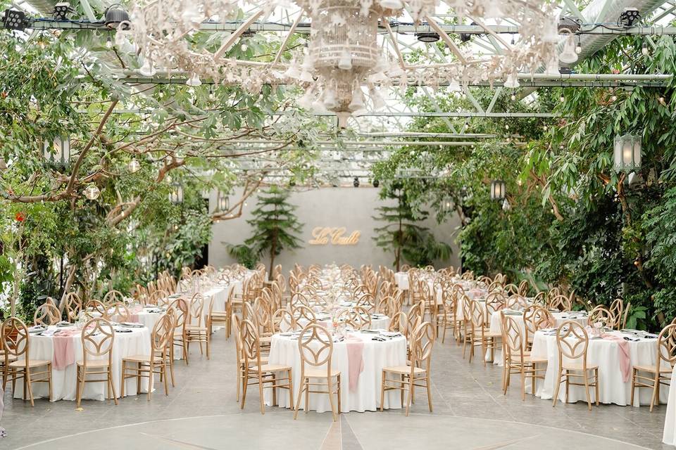 Kaushay & Co. Events