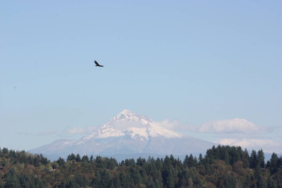 Overlooking at the mountain