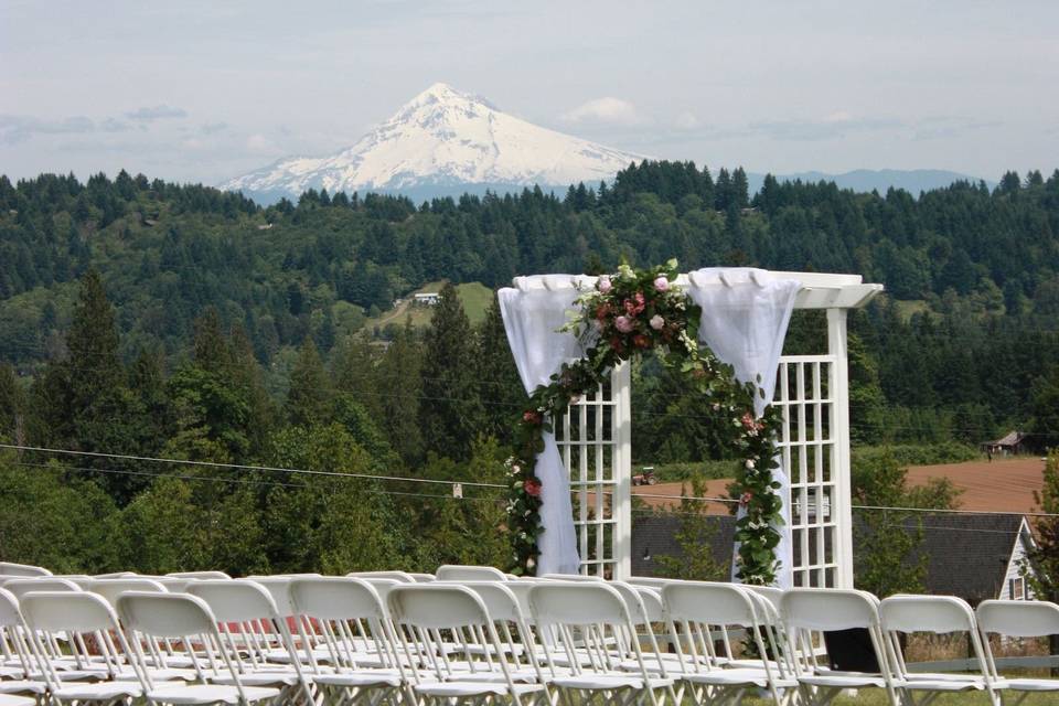 Overview of the wedding ceremony area