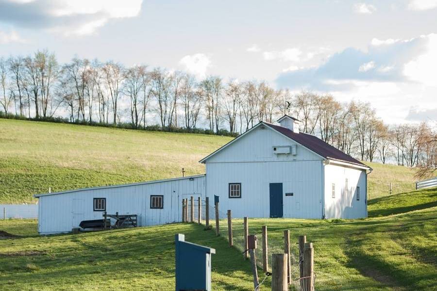 Barn setting