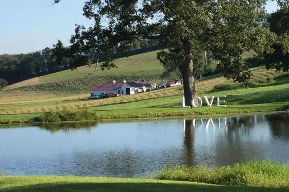 Pond and love