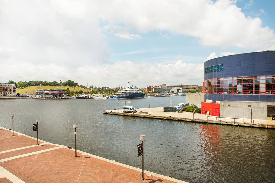 Harbor View