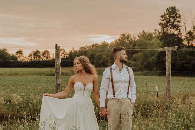 Photos in the field