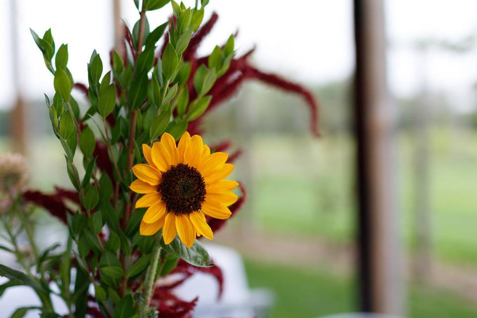 Flowers from our field