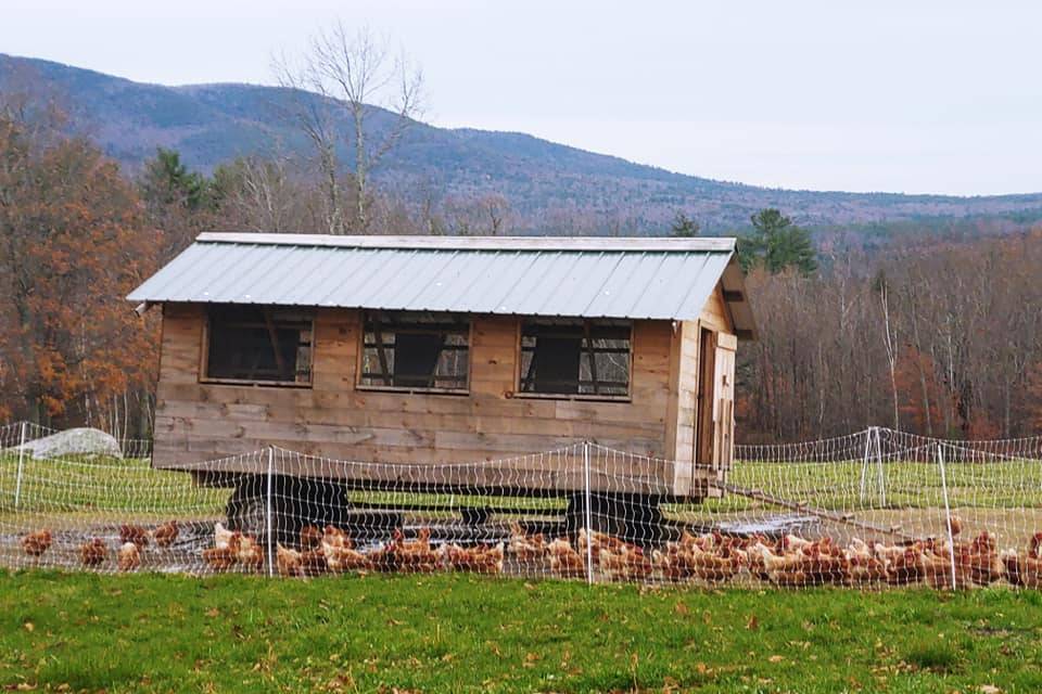 Chicken coop