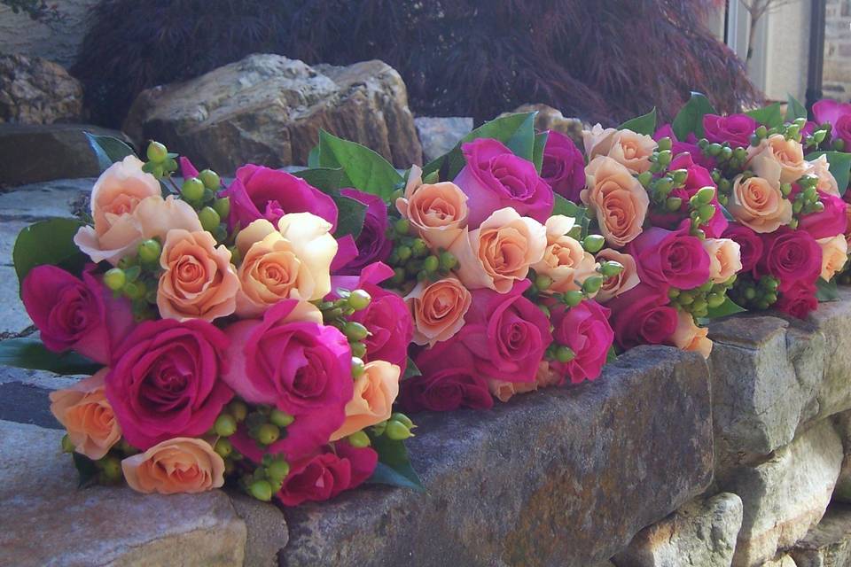 Hot pink & Coral Roses