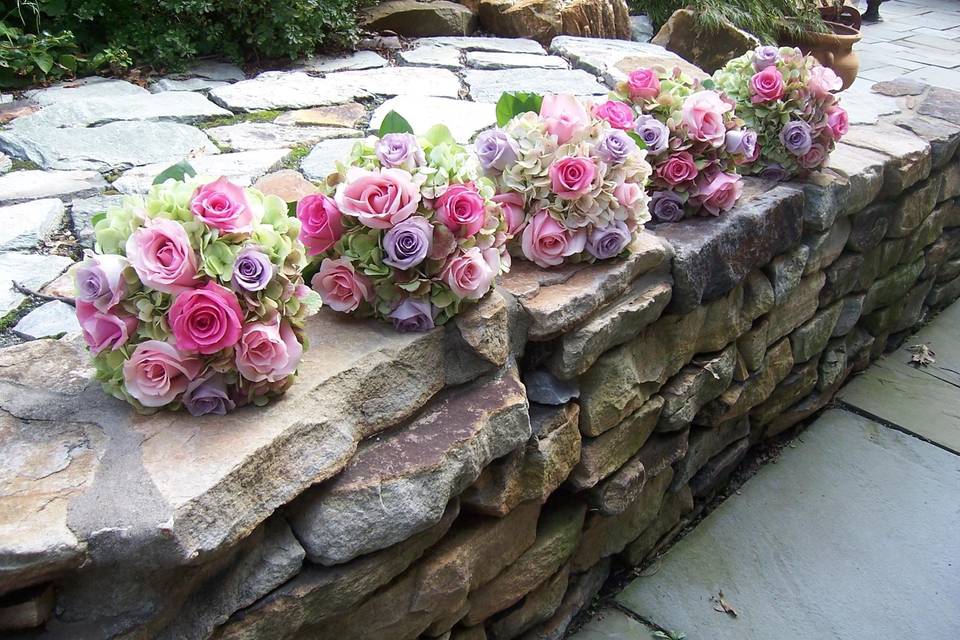 Roses in Bloom