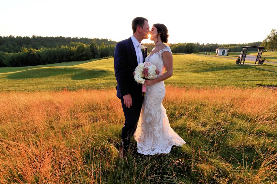 A quiet moment in a meadow