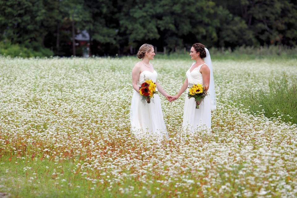 Beautiful Newlyweds