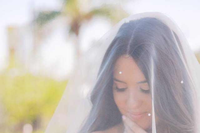 Bride and veil shot