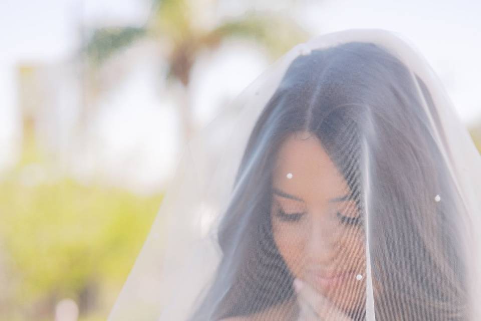 Bride and veil shot
