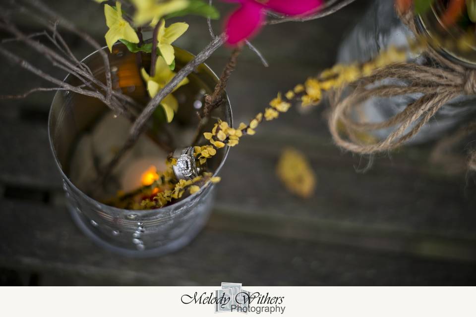 Melody Withers Photography