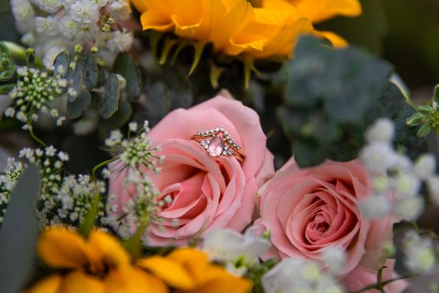Elizabeth Kirby Photography
