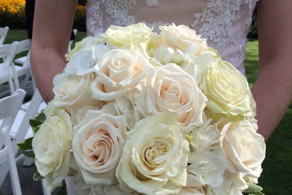 Rose Beauty