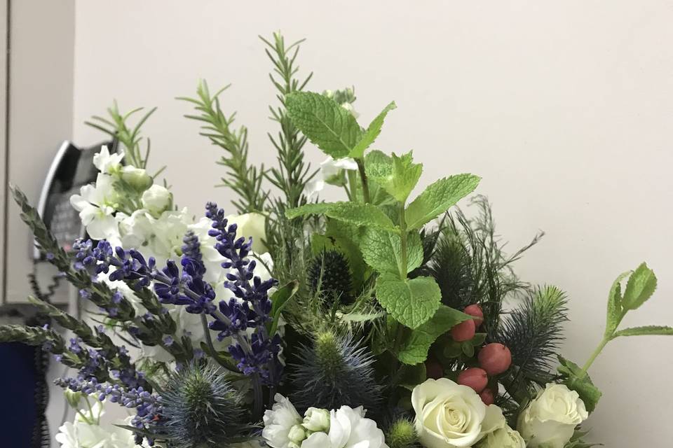 Herb Splendor