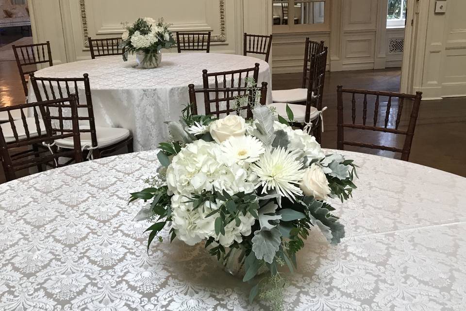 Wonderful White