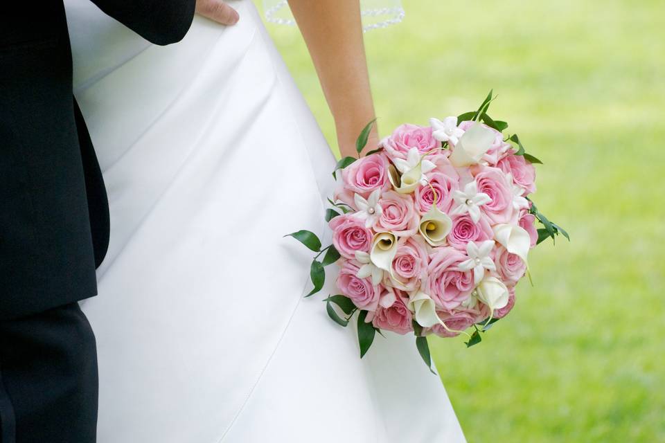 Pink Perfection