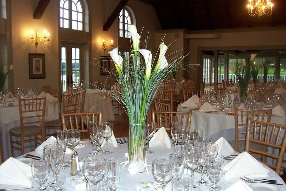 Calla Lily