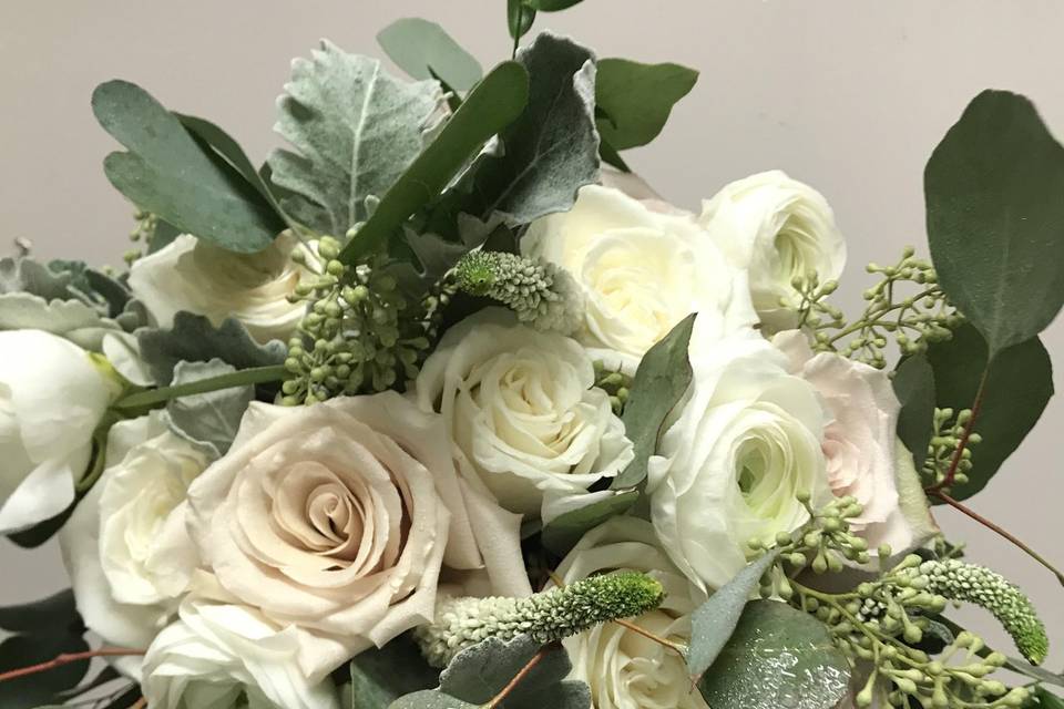 Soft Elegance