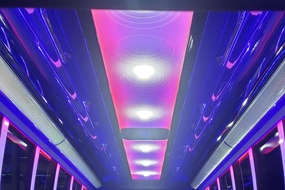 34 Passenger Limo Bus Interior