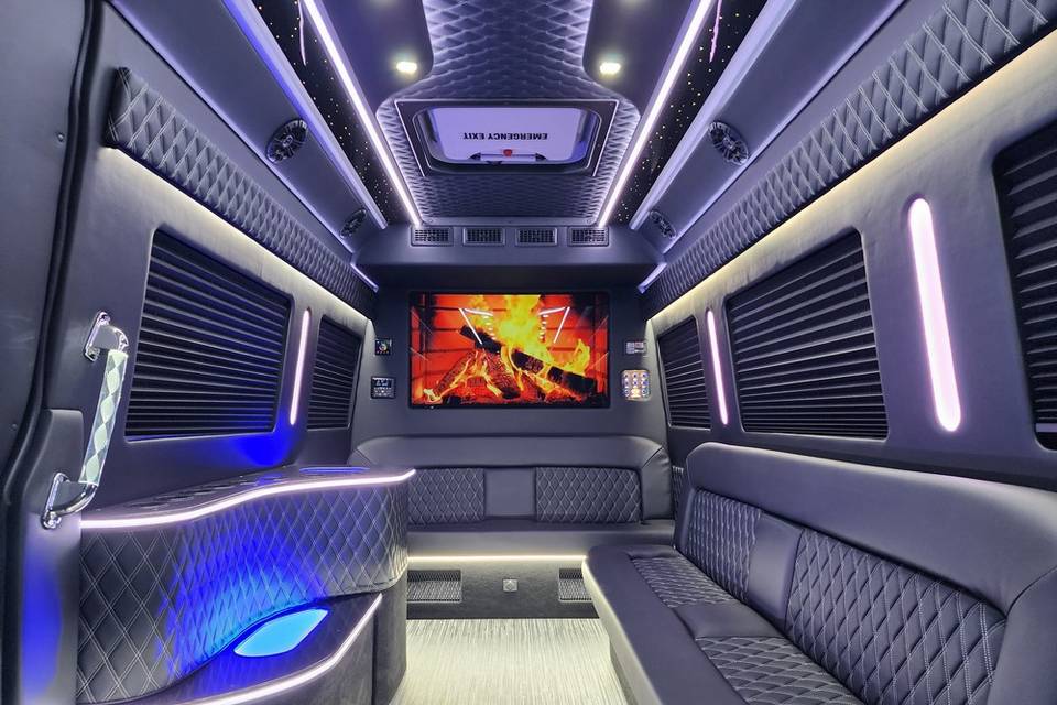 14 Passenger Mercedes Sprinter