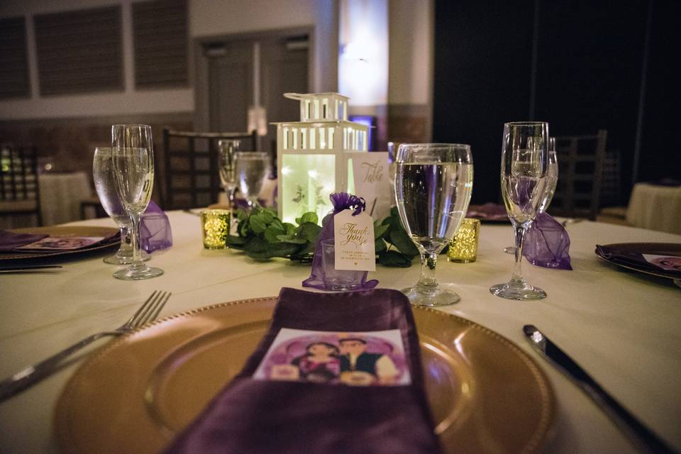 Tangled themed table settings