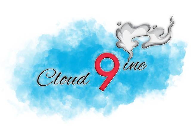 Cloud 9ine LLC