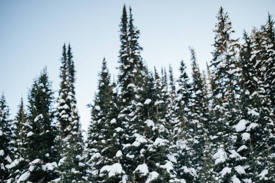 Utah florist