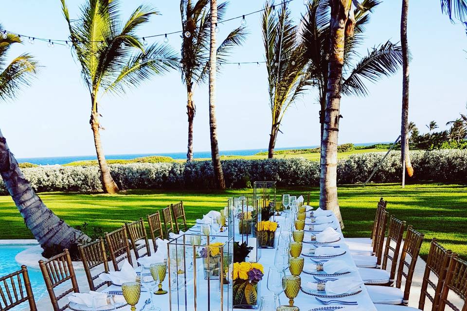 Sunny reception