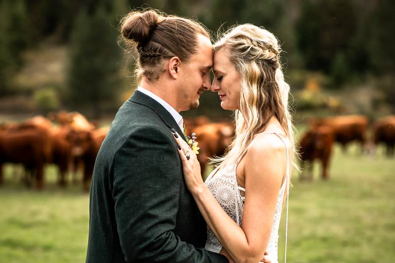 Cattle Farm Wedding