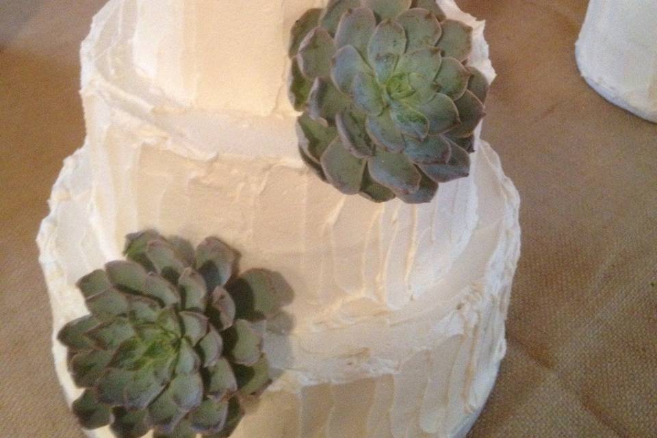 Succulents on wedding cake