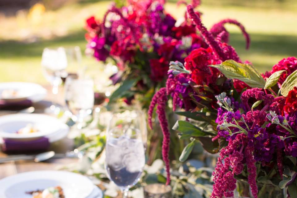 Biscuits and Berries Catering