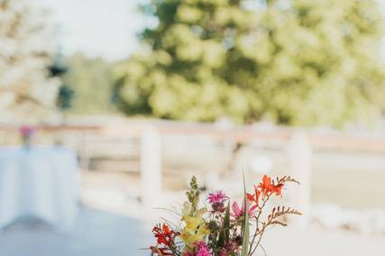 Wildflowers