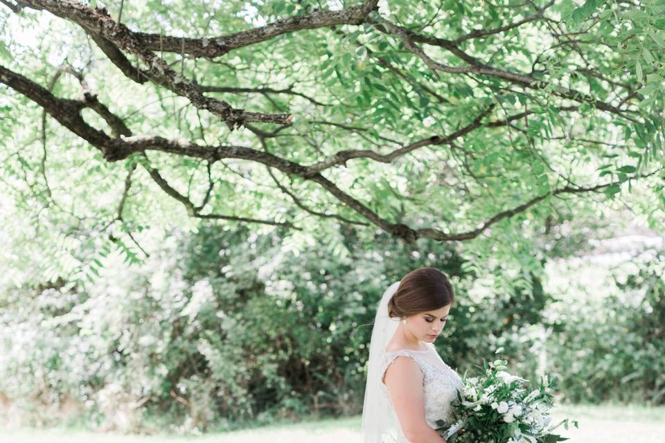 Bride's Portrait