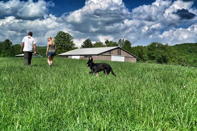 Strolling through lush fields