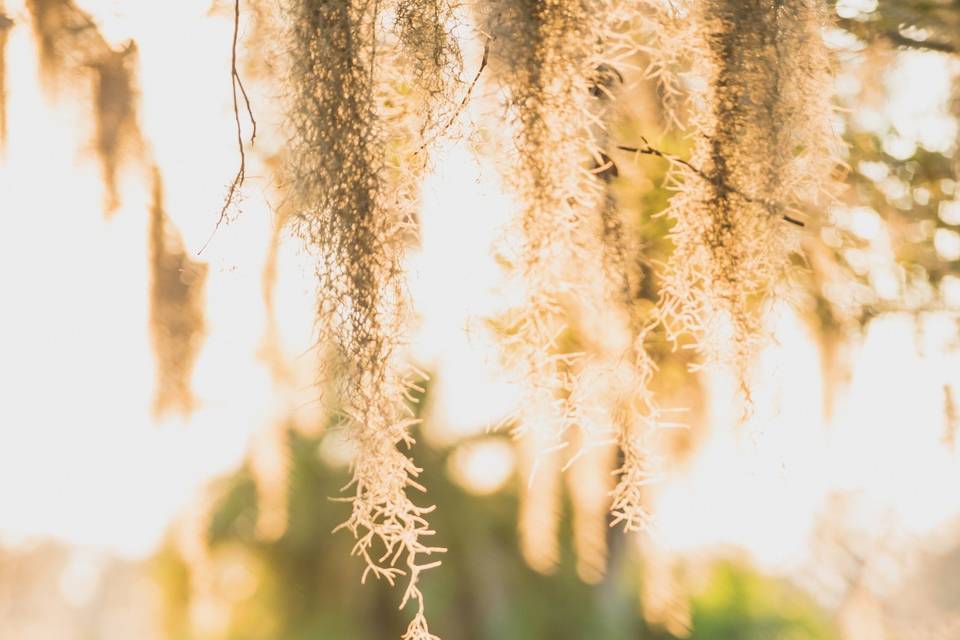 Garden happiness