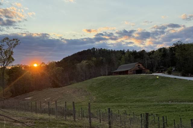Arabella Farm