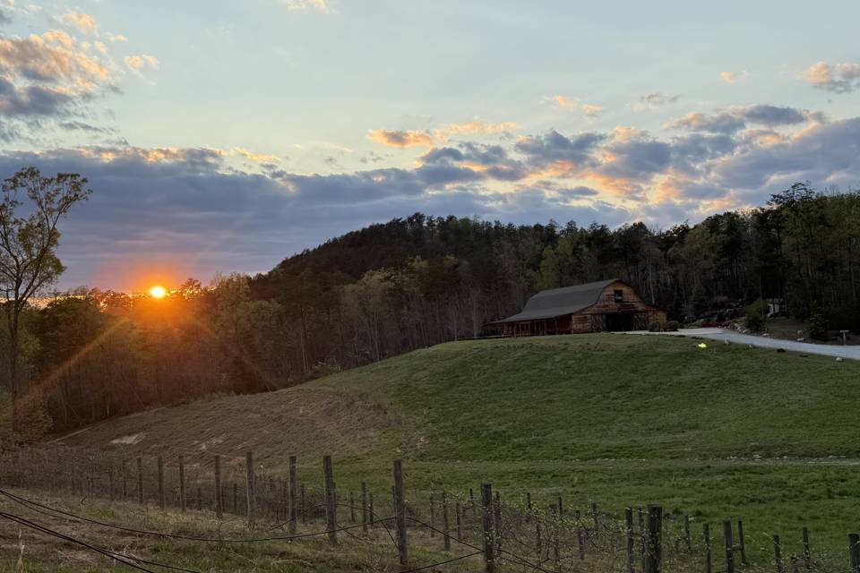 Arabella Farm