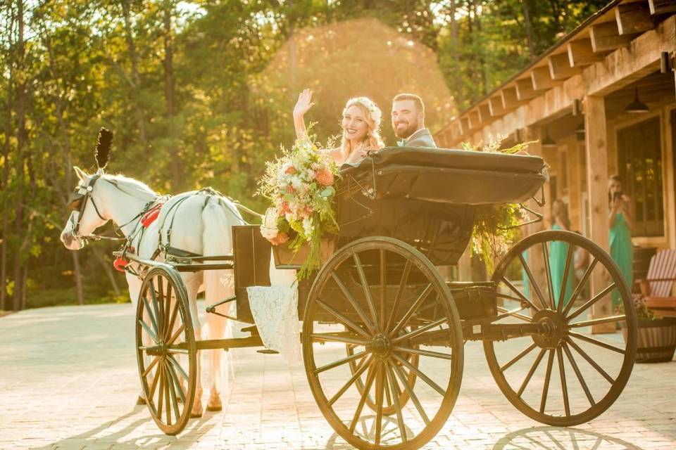 Wedding carriage