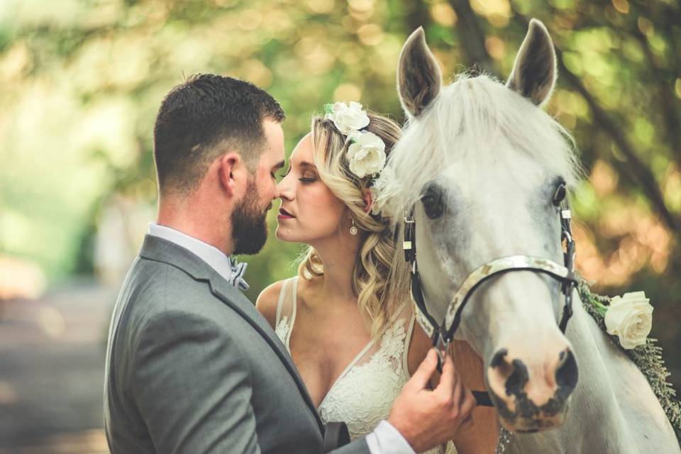 Bride, groom and horse