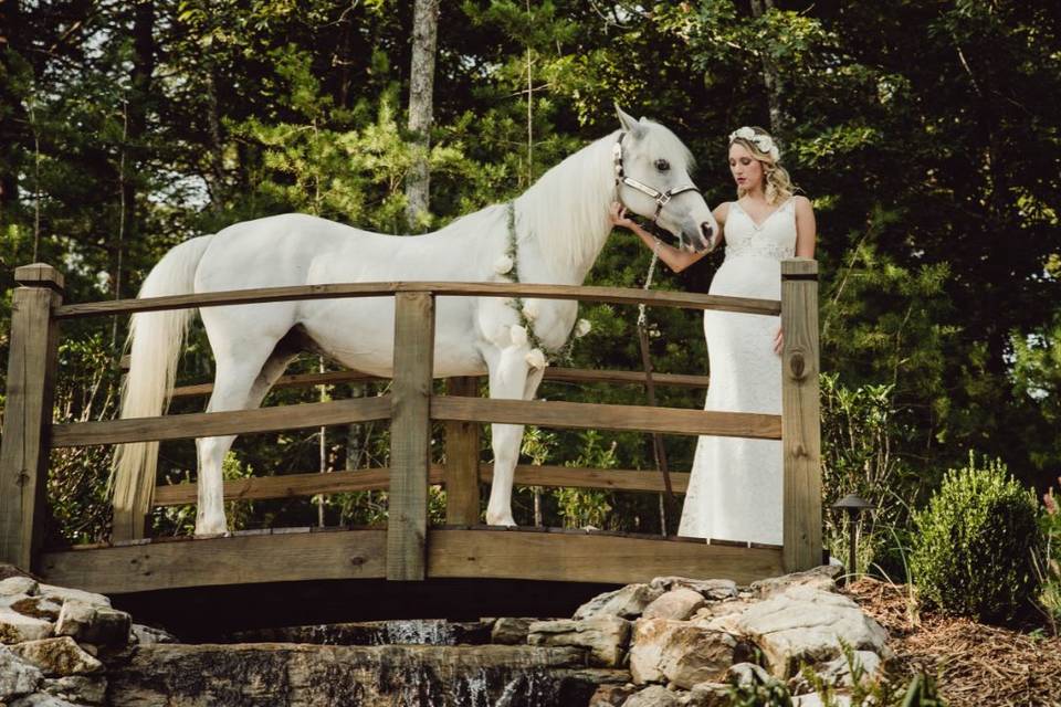 Bride and white horse