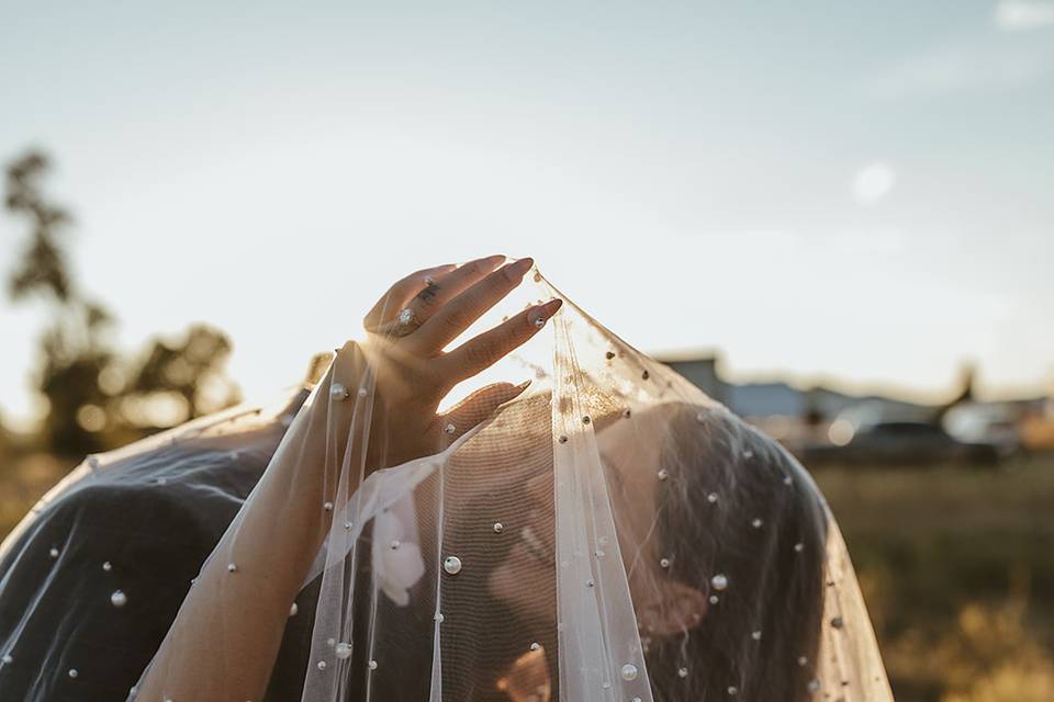 Montana Wedding