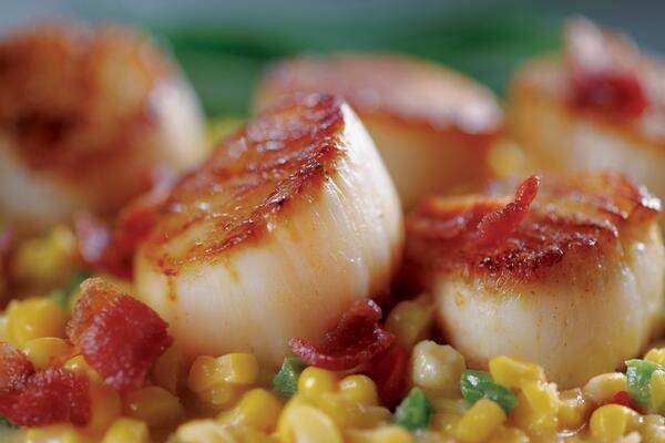 Grilled Diver Scallops served on a bed of bacon and corn bechamel