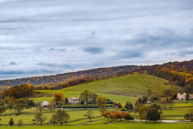 Surrounding landscape