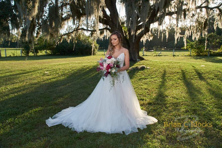 Bride Backdrop